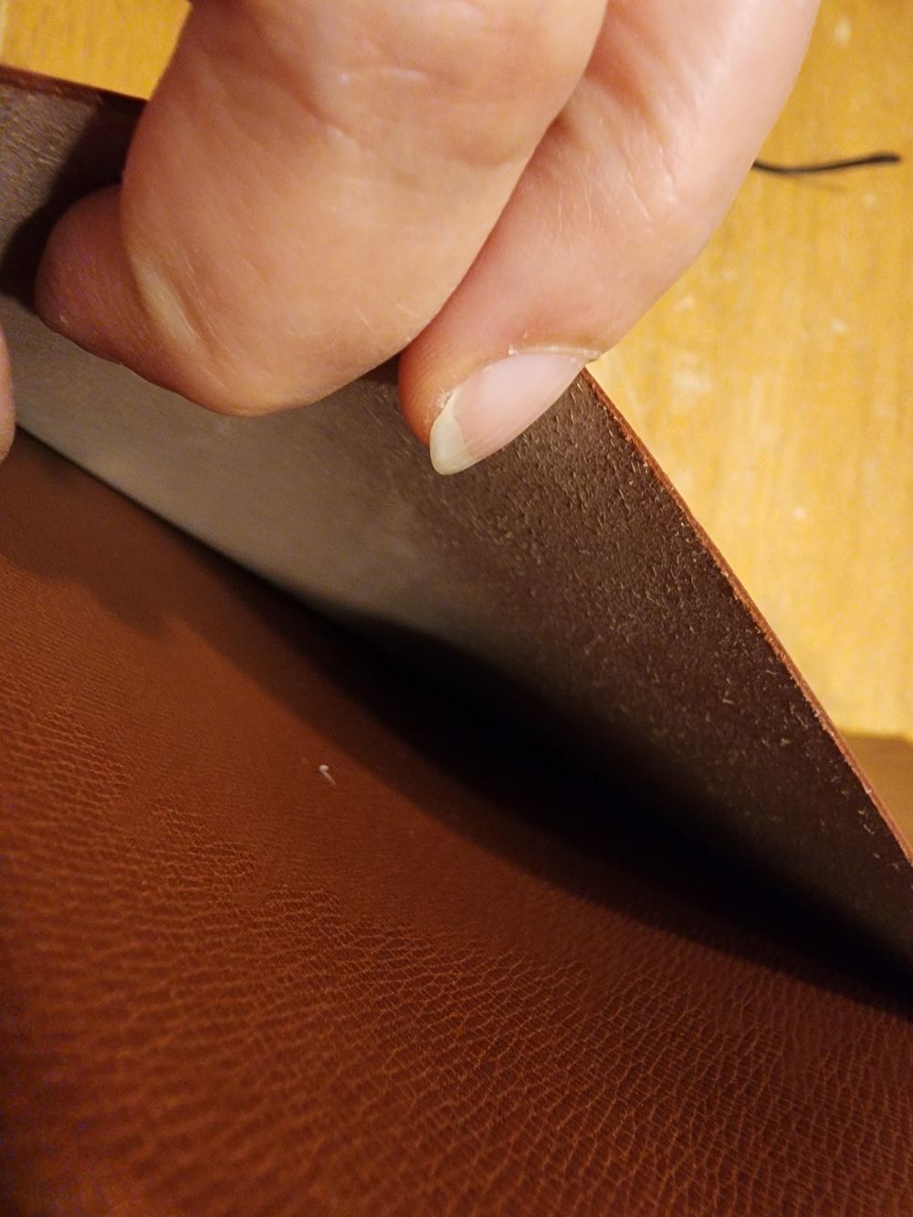 Louis Vuitton Monogram Canvas Notebook Cover in Brown and Gold - Picture 12 of 16